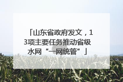 山东省政府发文，13项主要任务推动省级水网“一网统管”